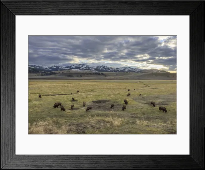 Framed Print : Wyoming. North America, USA, Rockie Mountains