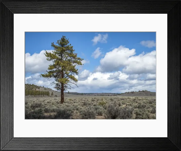 Framed Print : Outback. USA, Oregon, Lake County, High Desert and Highway 31 Framed Print : Outback. USA, Oregon, Lake County, High Desert and Highway 31