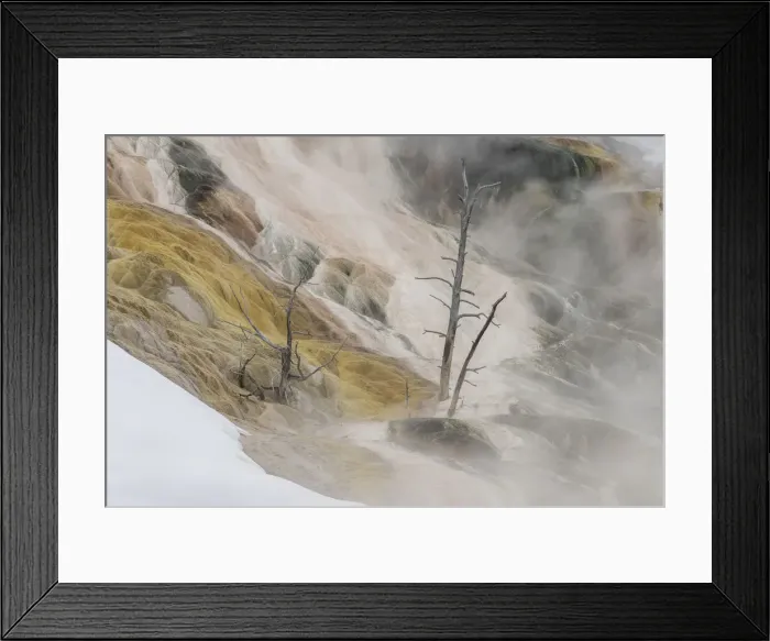 Framed Print : Mammoth Hot Springs