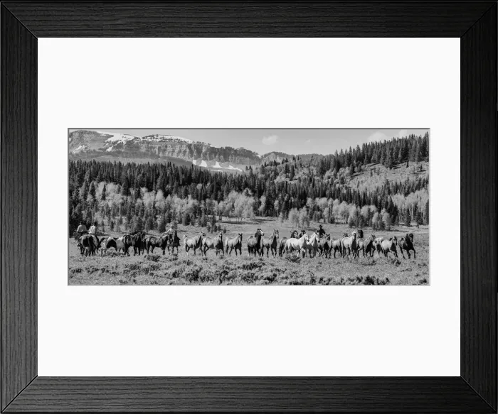 Framed Print : Cowboyland