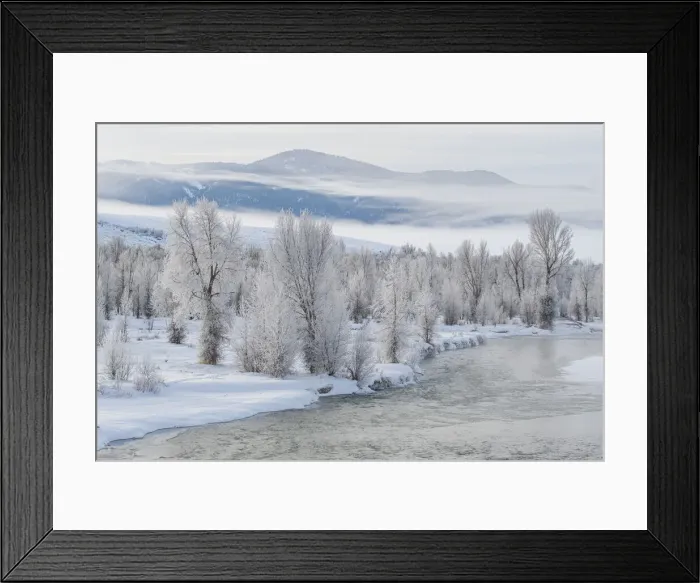 Framed Print : Gros Ventre