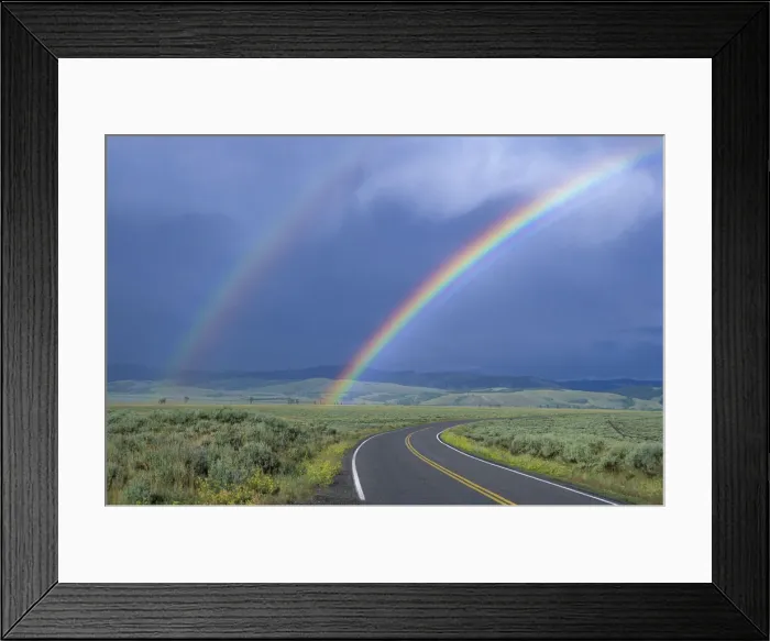 Framed Print : Kelly rainbow