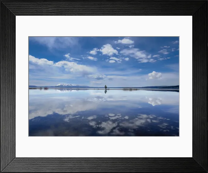 Framed Print : Yellowstone