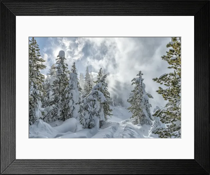 Framed Print : USA, Rocky Mountains, Wyoming, Yellowstone National Park, Norris geyser basin in winter