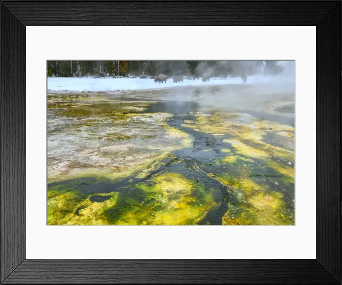 Framed Print : USA, Rocky Mountains, Wyoming, Yellowstone National Park, Upper Geyser Basin