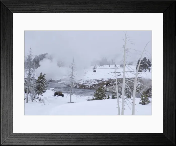Framed Print : Yellowstone