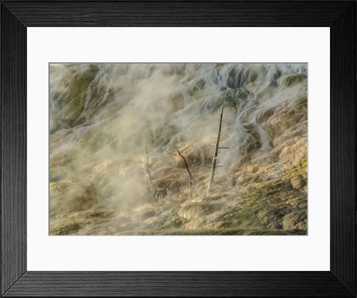 Framed Print : Yellowstone
