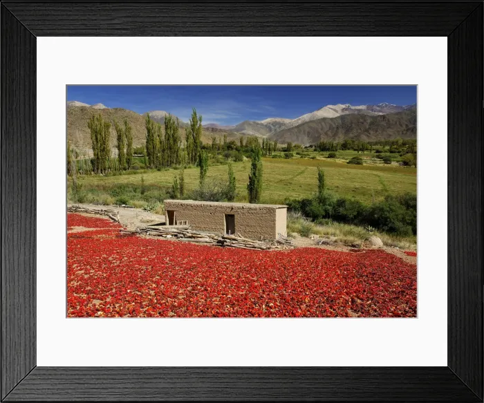 Framed Print : Chili. South America; Argentina; argentinian; Salta; Cachi; Valles Calchaquies; chili; Framed Print : Chili. South America; Argentina; argentinian; Salta; Cachi; Valles Calchaquies; chili;