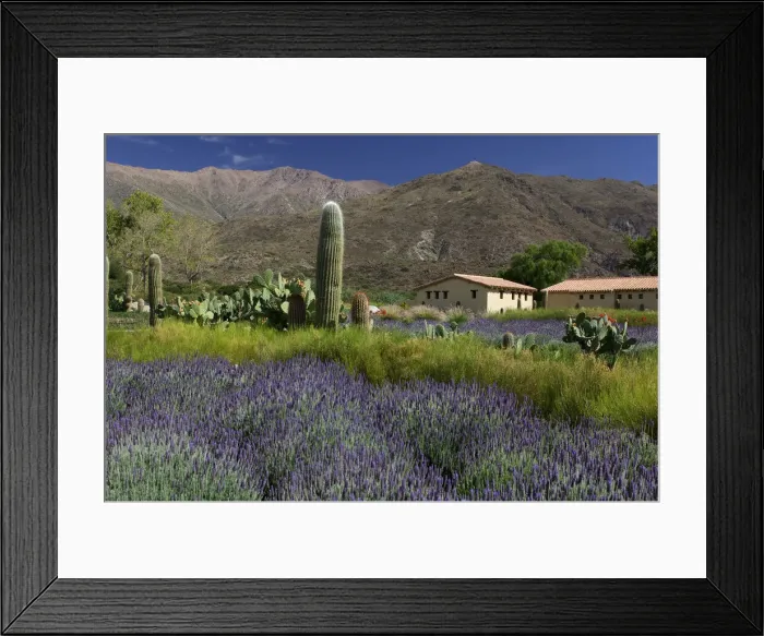 Framed Print : Colome. South America, Andes, Argentina, argentinian