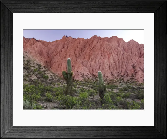 Framed Print : Fesert Light