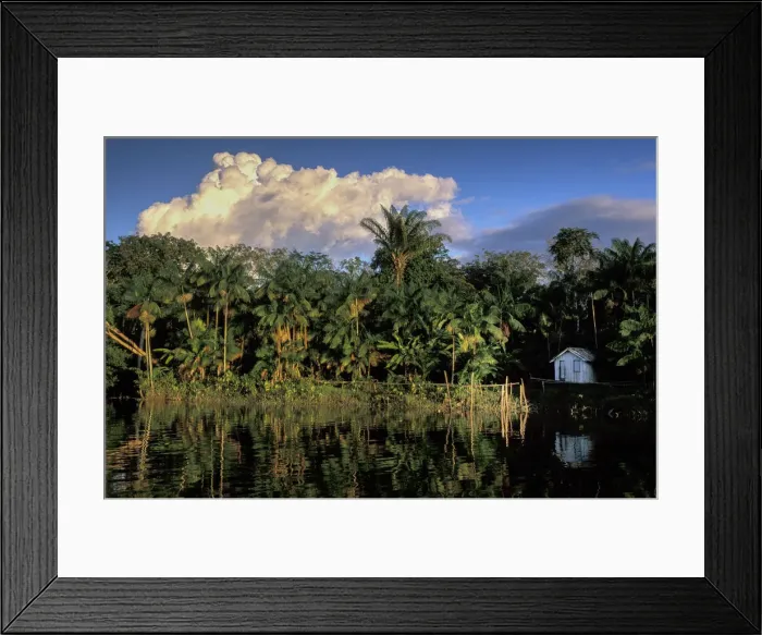 Framed Print : Amazon. South America; Amazon; Brazil; Belem, Ilha do Marajo, river; hut
