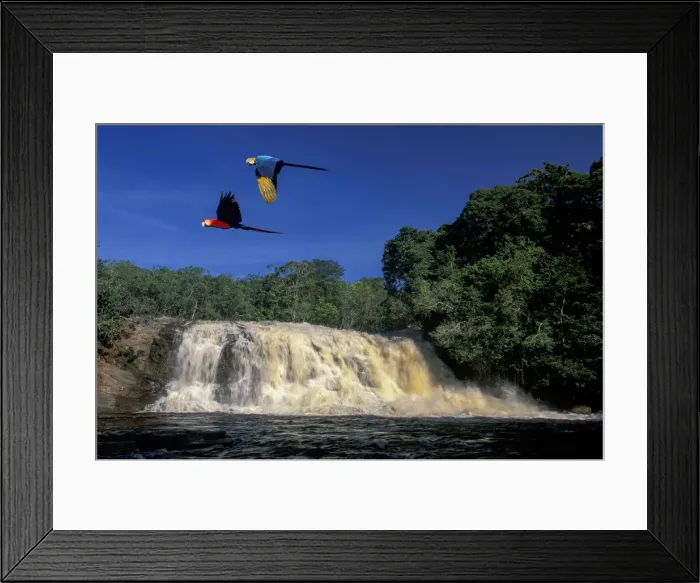 Framed Print : Amazon. South America, Amazonia, Amazonas, Brazil, Presidente Figueiredo, waterfall