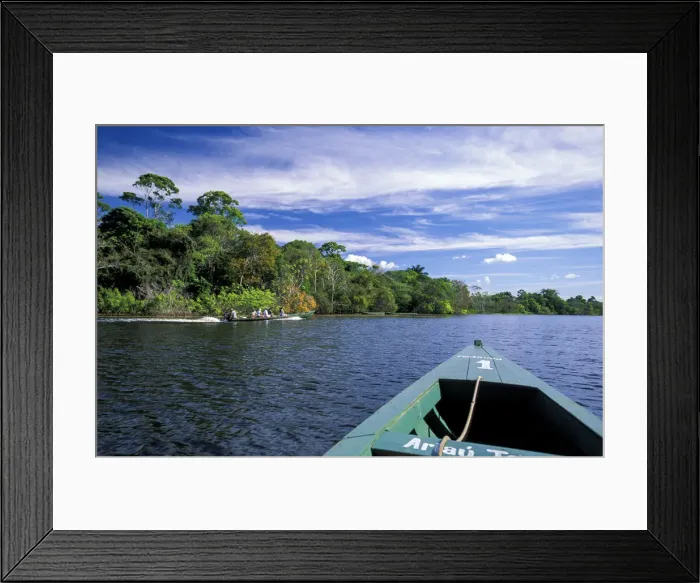 Framed Print : Amazon. South America, Amazon, Brazil, Manaus, Rio Negro