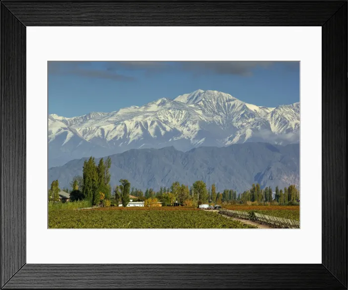 Framed Print : Andes. Vineyards and Cerro Tupungato, Bodega, Andes Mountains Framed Print : Andes. Vineyards and Cerro Tupungato, Bodega, Andes Mountains