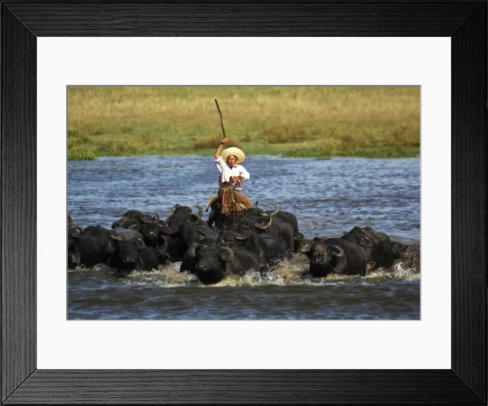 Framed Print : Argentina. South America, Argentina, Argentinien