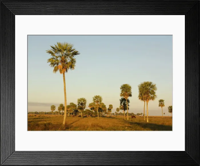 Framed Print : Southern Hemisphere South America Norte Argentina Framed Print : Southern Hemisphere South America Norte Argentina
