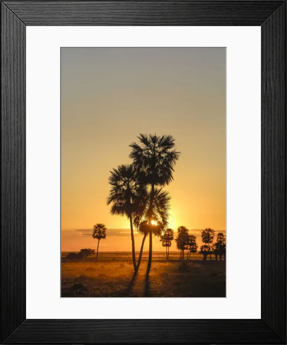 Framed Print : Ibera. South America, Argentina, Corrientes, Pampa, Esteros del Ibera, sunset Framed Print : Ibera. South America, Argentina, Corrientes, Pampa, Esteros del Ibera, sunset