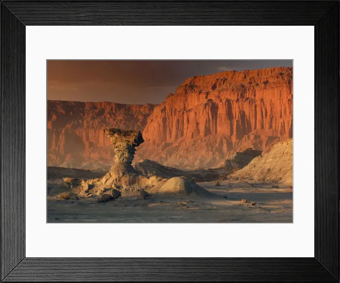 Framed Print : Desert Light