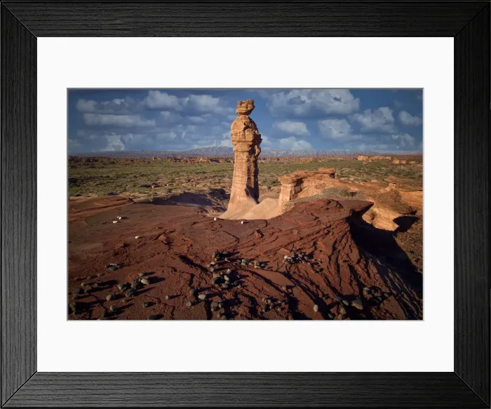 Framed Print : Desertland Framed Print : Desertland