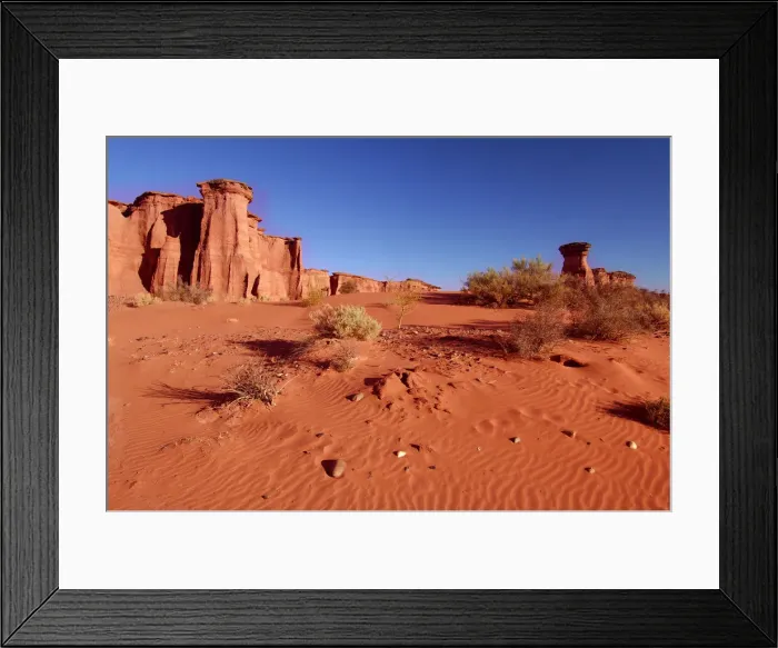 Framed Print : Desert Park