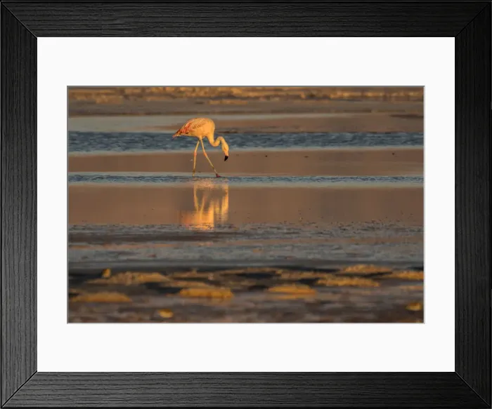 Framed Print : Chile. South America, Andes, Atacama, San Pedro de Atacama