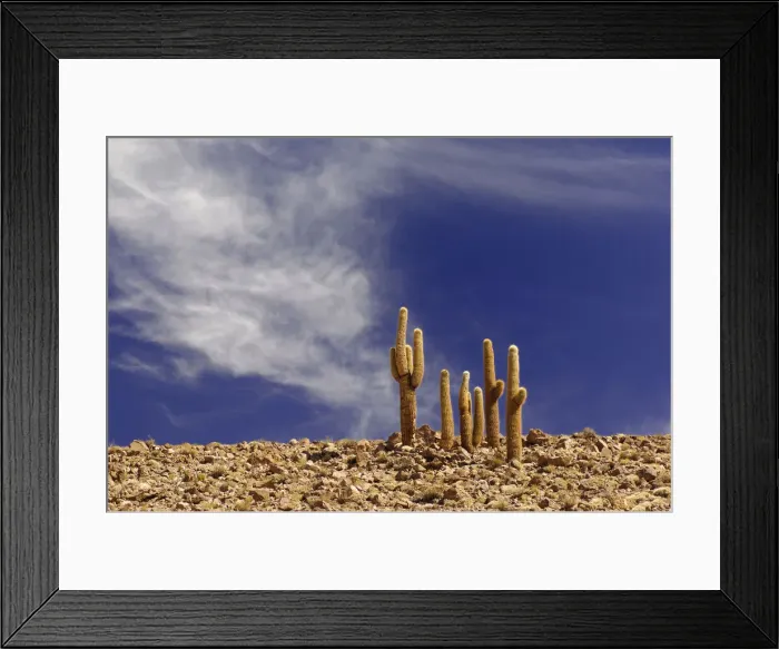 Framed Print : Altiplano. South America, Chile, Altiplano, Autofagasta