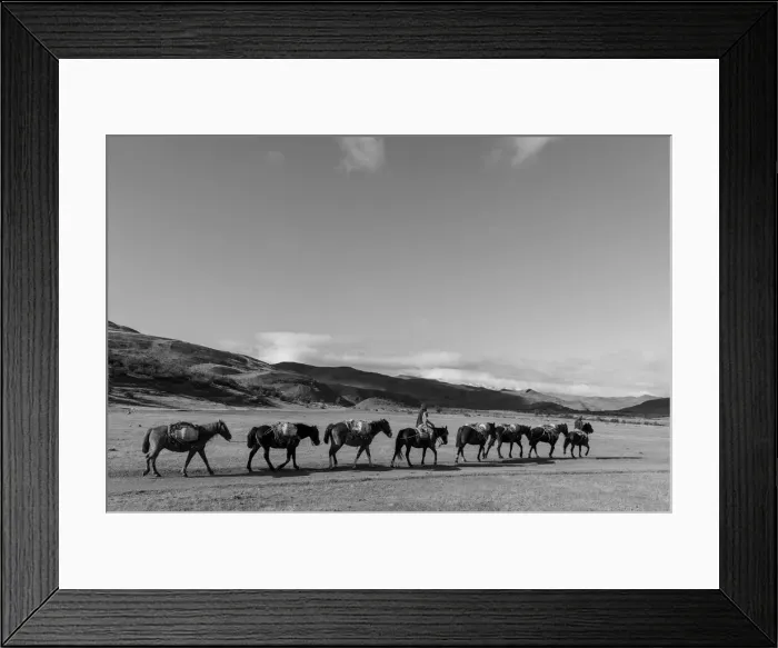Framed Print : Patagonia. South America, Andes, Patagonia, Torres del Paine