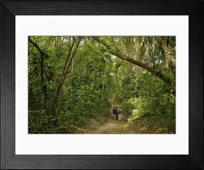 Framed Print : Tayrona. South America; Colombia; Park Tayrona; Parque Nacional Tayrona;