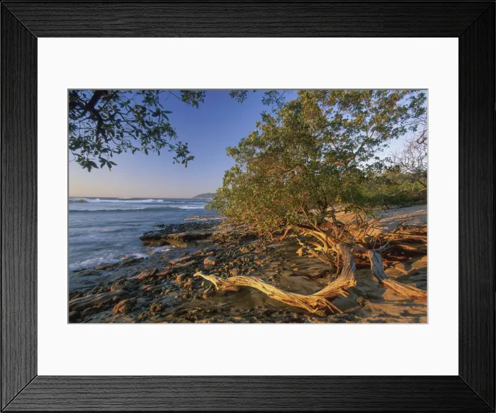 Framed Print : Playa Langosta