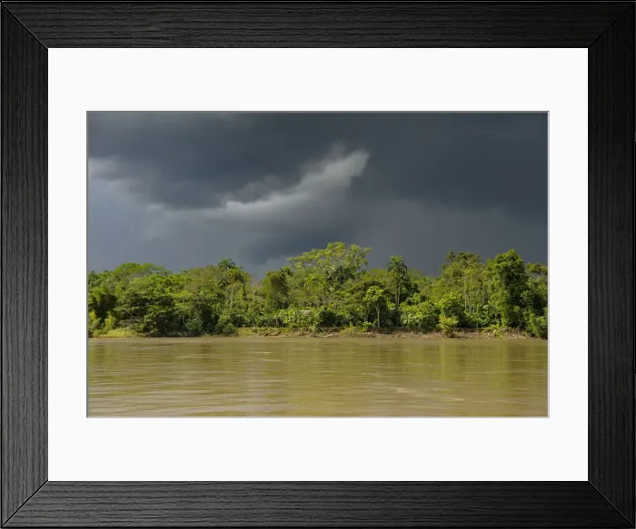 Framed Print : Amazon. South America, Amazon, Ecuador, Napo Wildlife Center; Yasuni National