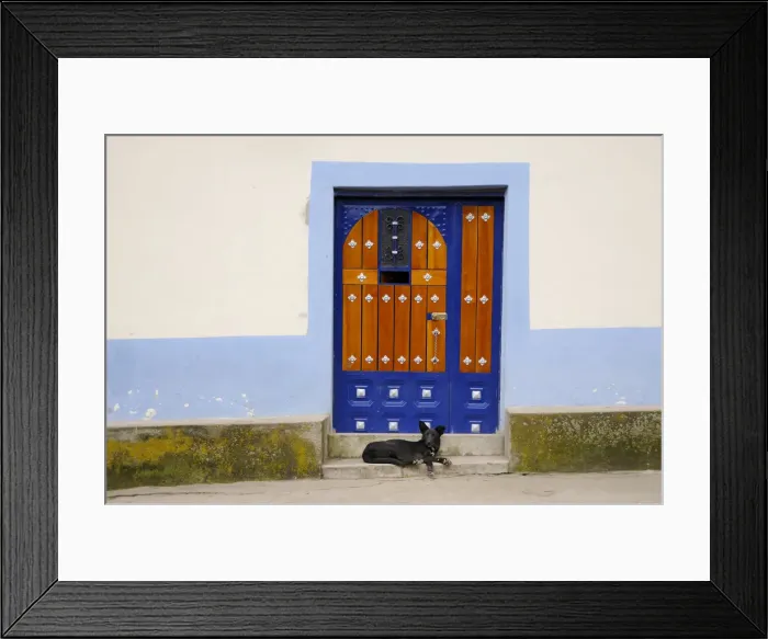 Framed Print : Dog. South America; Ecuador; Andes, Agato, door and dog