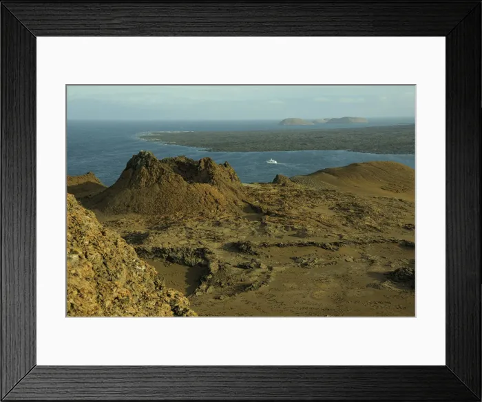 Framed Print : Galapagos. South America, Ecuador, Galapagos Islands Framed Print : Galapagos. South America, Ecuador, Galapagos Islands