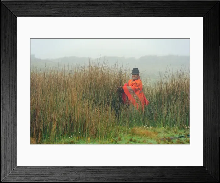 Framed Print : Indio. South America; Ecuador; Andes, Highland, Zumbahua; Paramo, local harvesting reeds