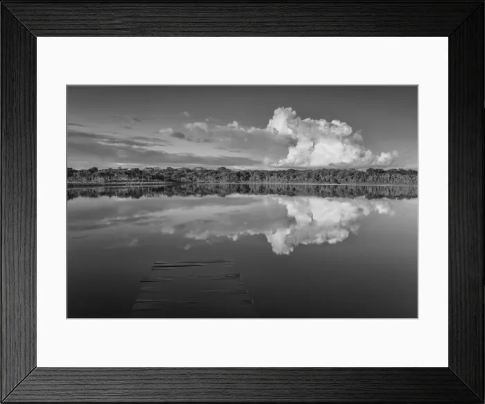 Framed Print : Amazon rainbow