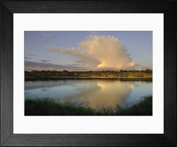 Framed Print : Napo. Anangurocha Lake, Lagoon, at Napo Wildlife Center, Rainforest, Amazonia, Ecuador