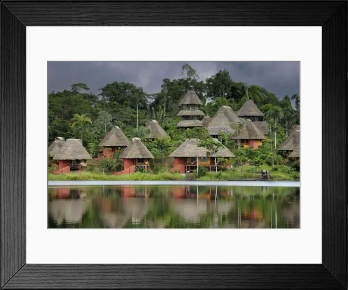 Framed Print : Napo. South America, Amazon, Ecuador, Yasuni National Park Framed Print : Napo. South America, Amazon, Ecuador, Yasuni National Park