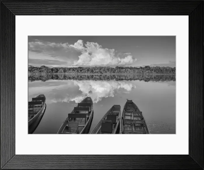 Framed Print : Napo. South America, Amazon, Ecuador, Anangurocha Lake, Napo Wildlife Center, boat dock Framed Print : Napo. South America, Amazon, Ecuador, Anangurocha Lake, Napo Wildlife Center, boat dock