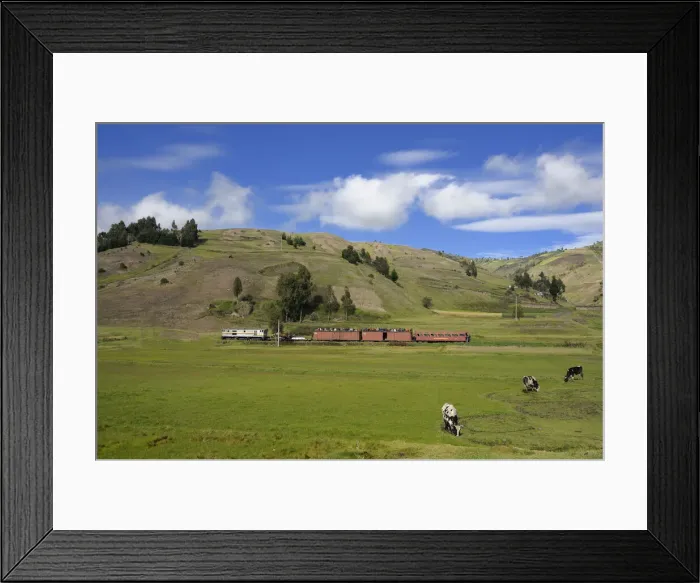 Framed Print : Train. South America; Ecuador; Andes; Highland; Riobamba; Devils Nose Train;