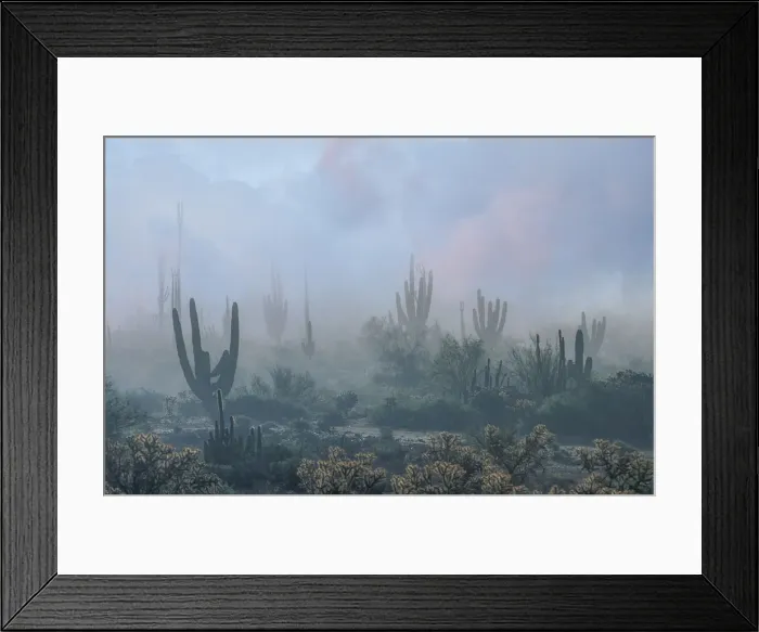 Framed Print : Desert Mist