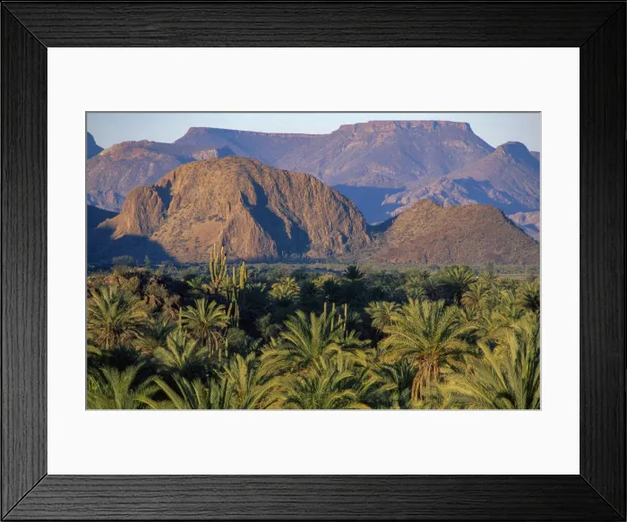 Framed Print : San Ignacio