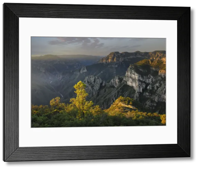 Framed Print : Copper Canyon
