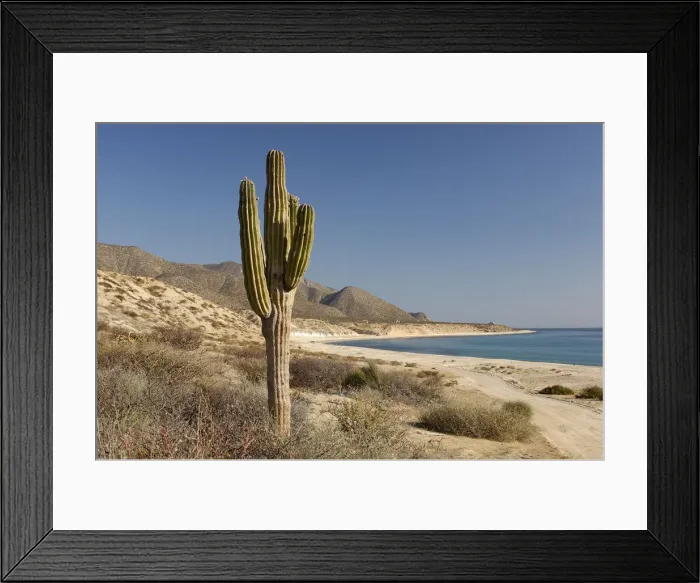 Framed Print : Hot Water Beach