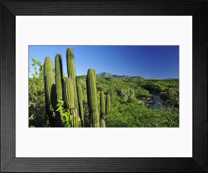 Framed Print : Los Barilles Framed Print : Los Barilles