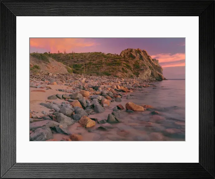 Framed Print : Punta Gorda