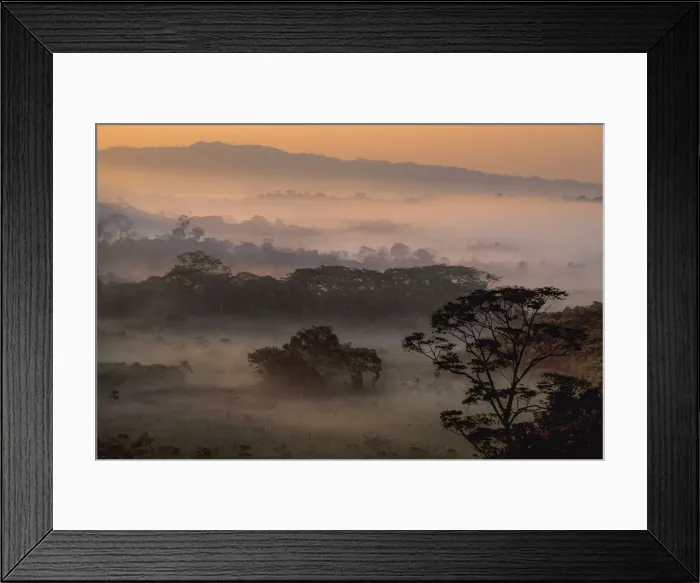 Framed Print : Campeche. North America, Mexico, Campeche, Palenque, morning fog