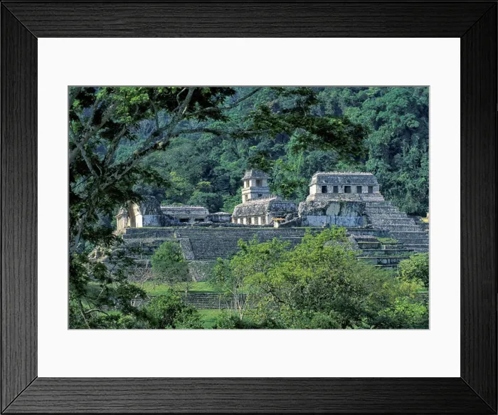 Framed Print : Palenque. Mexico, Campeche, Maya Ruins, Palenque, UNESCO World Heritage Framed Print : Palenque. Mexico, Campeche, Maya Ruins, Palenque, UNESCO World Heritage