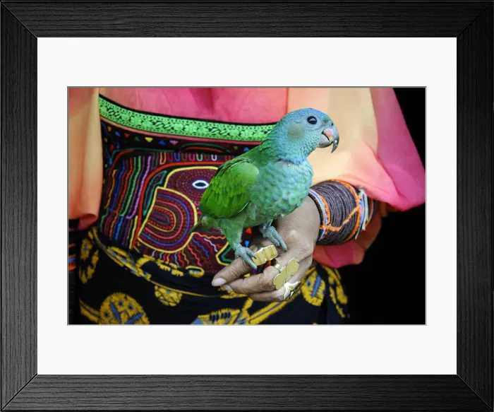 Framed Print : Kuna Indian woman with Parrot, Indigenous, Rio Sidra