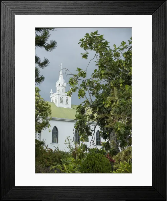 Framed Print : Big Island