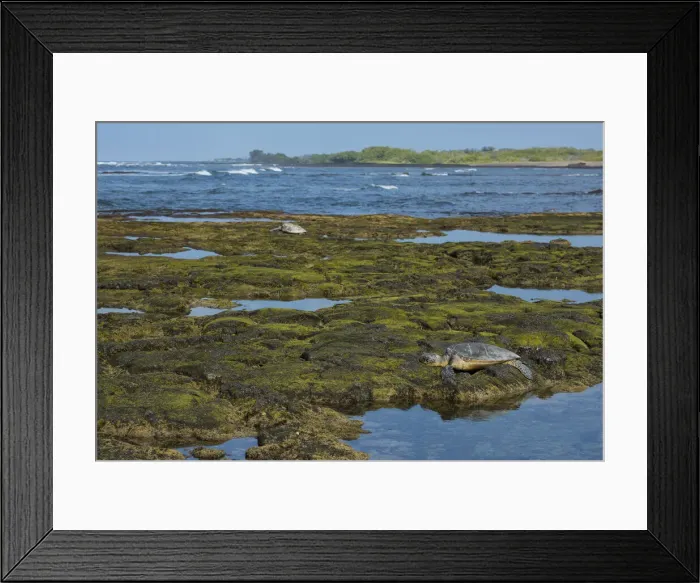 Framed Print : Big Island