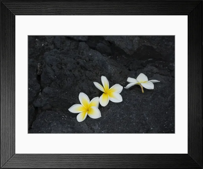 Framed Print : Big Island